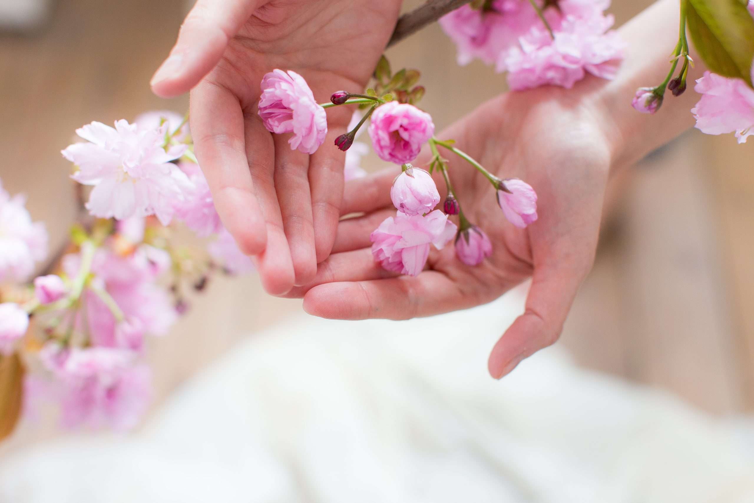jungian coach raises budding cherry blossom to the camera for a brand photoshoot
